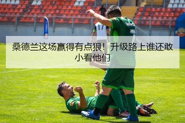 桑德兰这场赢得有点狠！升级路上谁还敢小看他们