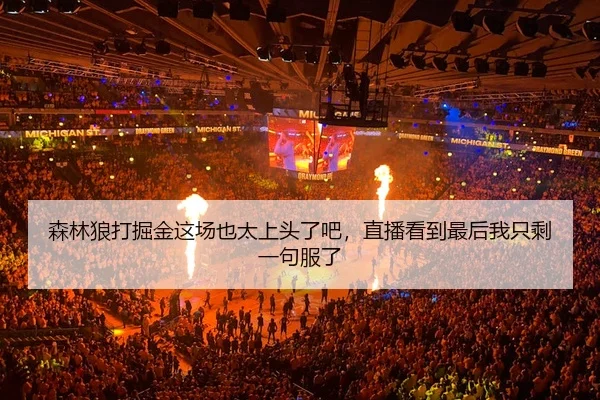 森林狼打掘金这场也太上头了吧，直播看到最后我只剩一句服了
