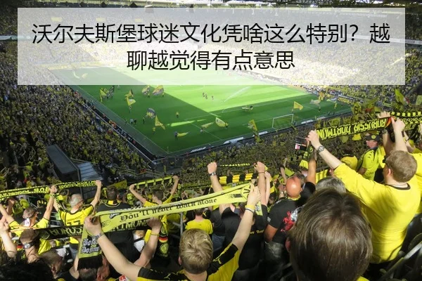 沃尔夫斯堡球迷文化凭啥这么特别？越聊越觉得有点意思