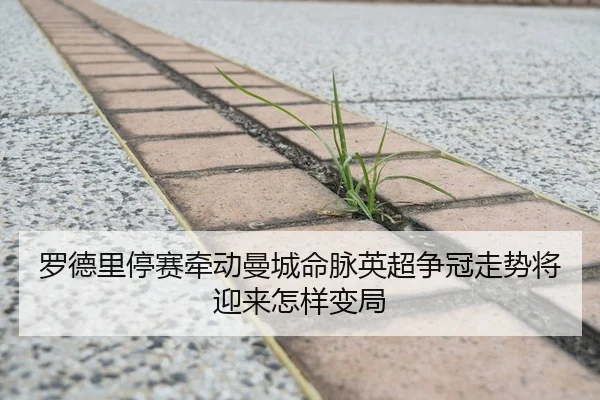 罗德里停赛牵动曼城命脉英超争冠走势将迎来怎样变局