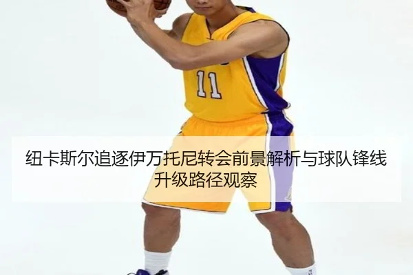 纽卡斯尔追逐伊万托尼转会前景解析与球队锋线升级路径观察