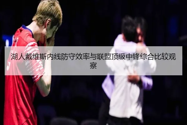 湖人戴维斯内线防守效率与联盟顶级中锋综合比较观察