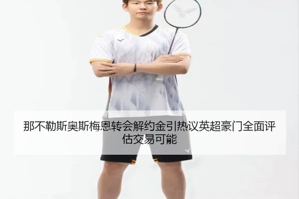 那不勒斯奥斯梅恩转会解约金引热议英超豪门全面评估交易可能