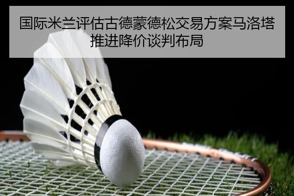 国际米兰评估古德蒙德松交易方案马洛塔推进降价谈判布局